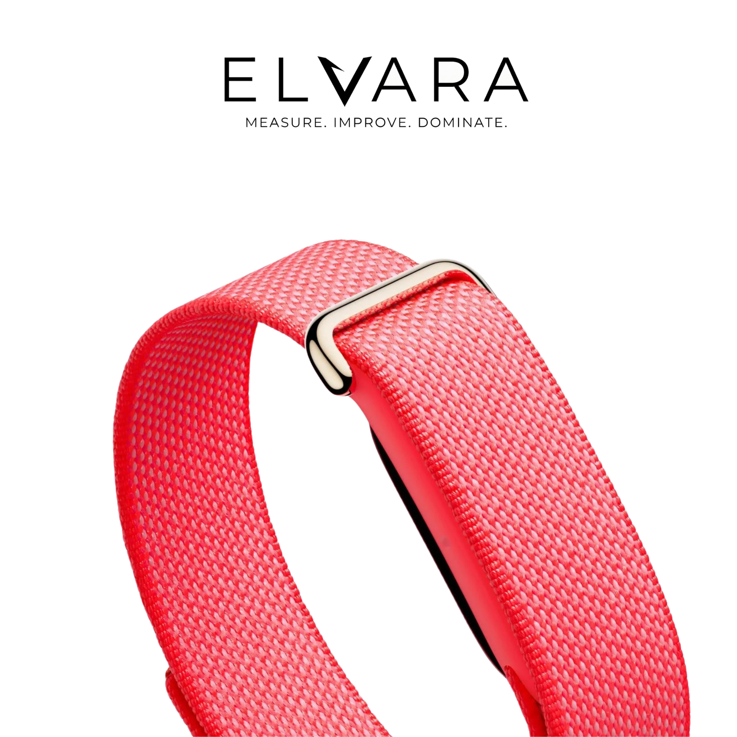 Google Fitbit Air | Berry