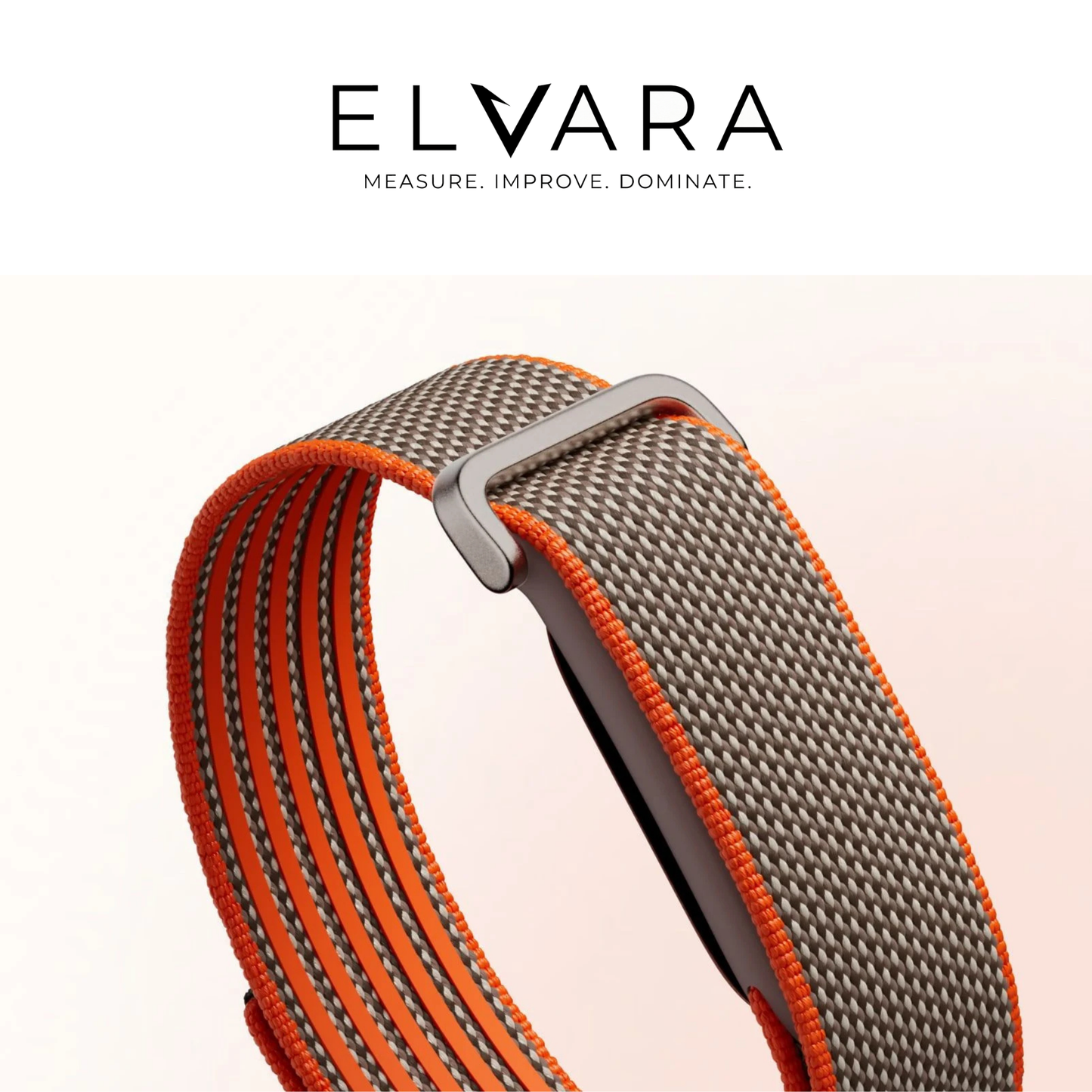 Google Fitbit Air | Berry