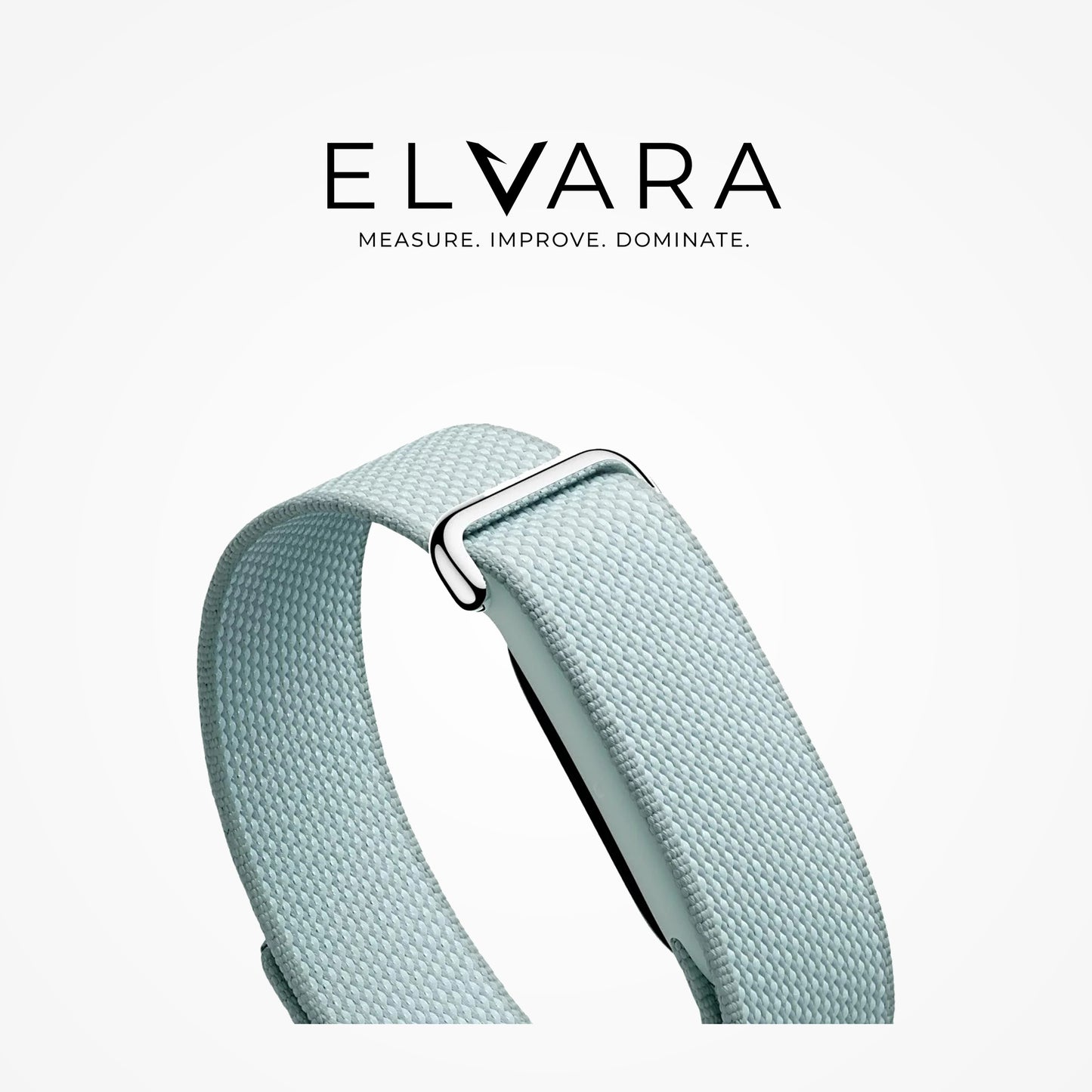 Google Fitbit Air | Fog
