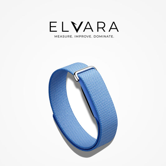 Google Fitbit Air | Lavender