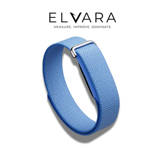 Google Fitbit Air | Lavender